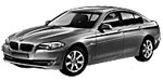 BMW F10 P0A36 Fault Code